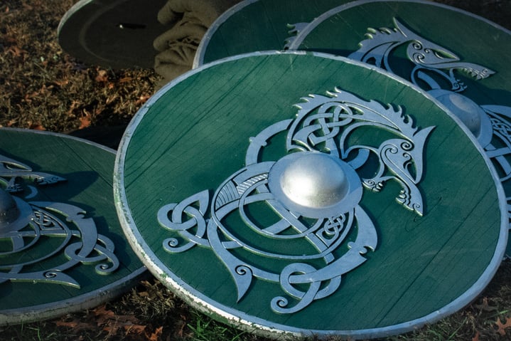 Viking shields in a field.
